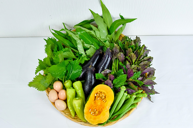 しまんと流域農業 無農薬 化学肥料不使用 オーガニック 土佐ジロー 濃厚たまご 卵 野菜