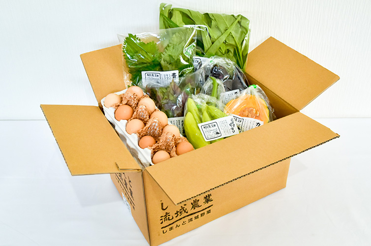 しまんと流域農業 無農薬 化学肥料不使用 オーガニック 土佐ジロー 濃厚たまご 卵 野菜