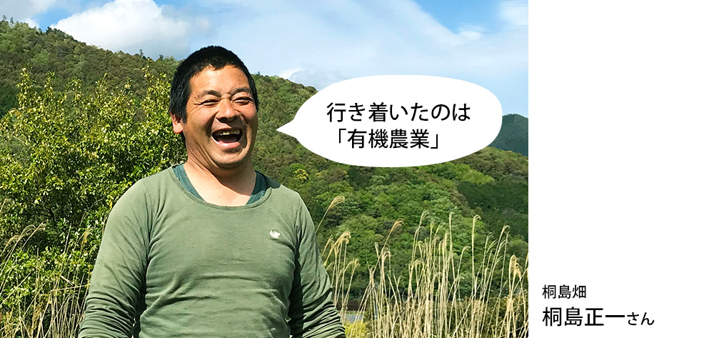 有機農業 農薬不使用 化学肥料不使用 季節野菜 新鮮野菜 ボリュームアップ