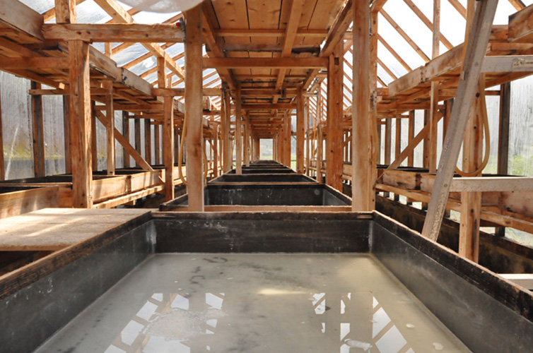 灼熱の結晶ハウス