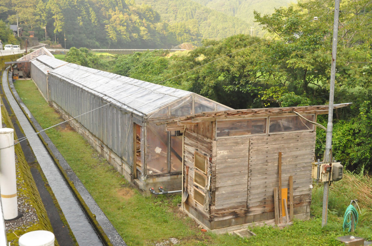3棟のハウスで塩づくり
