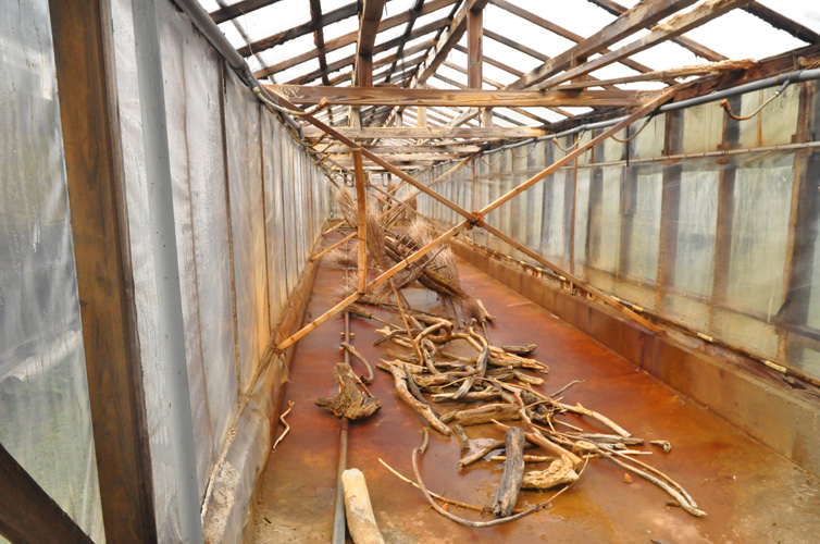 海水の濃度を高める鹹水ハウス