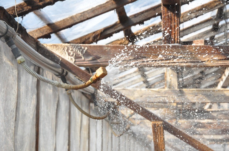 シャワーで海水を噴射