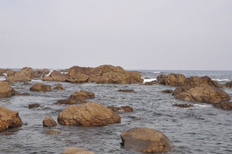 高知県黒潮町の海水を使用