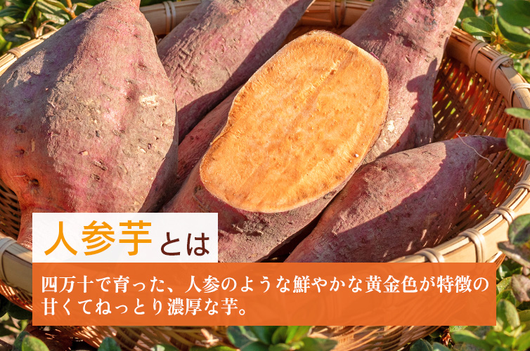 ひがしやま ミニサイズ いも焼き菓子ひがしやま。 芋菓子 ひと口サイズ お芋 焼き菓子 しまんと 四万十 四万十川 高知 お土産 手土産 ギフト gift 