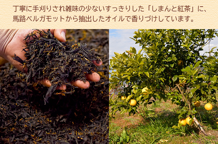 アールグレイ earlgrey しまんと紅茶 茶葉 フレーバーティー ベルガモット 和紅茶 高知産 高知 国産 ティータイム こだわり おみやげ プレゼント