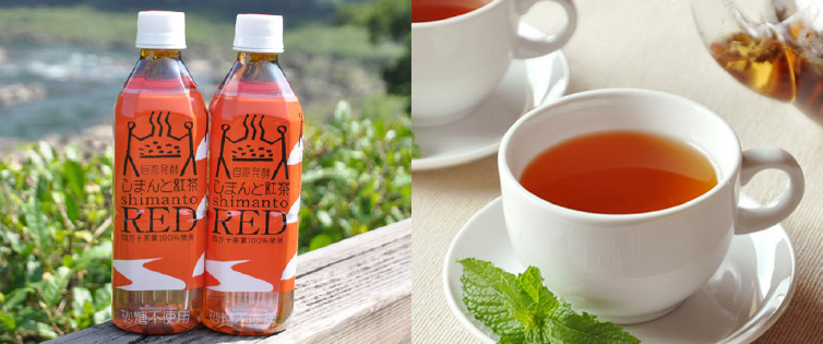 ペットボトル・茶葉写真