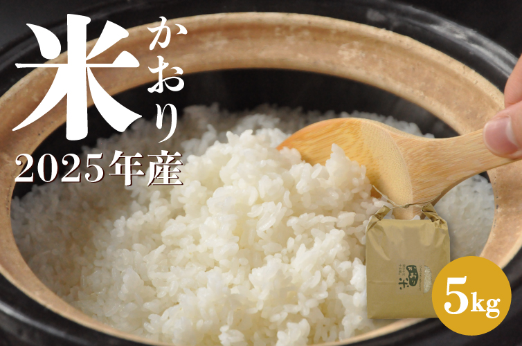 かおり米『十和錦』3升 四万十のお米 お米 四万十町産 高知 四万十 四万十のお米 お米 四万十町産 高知 四万十