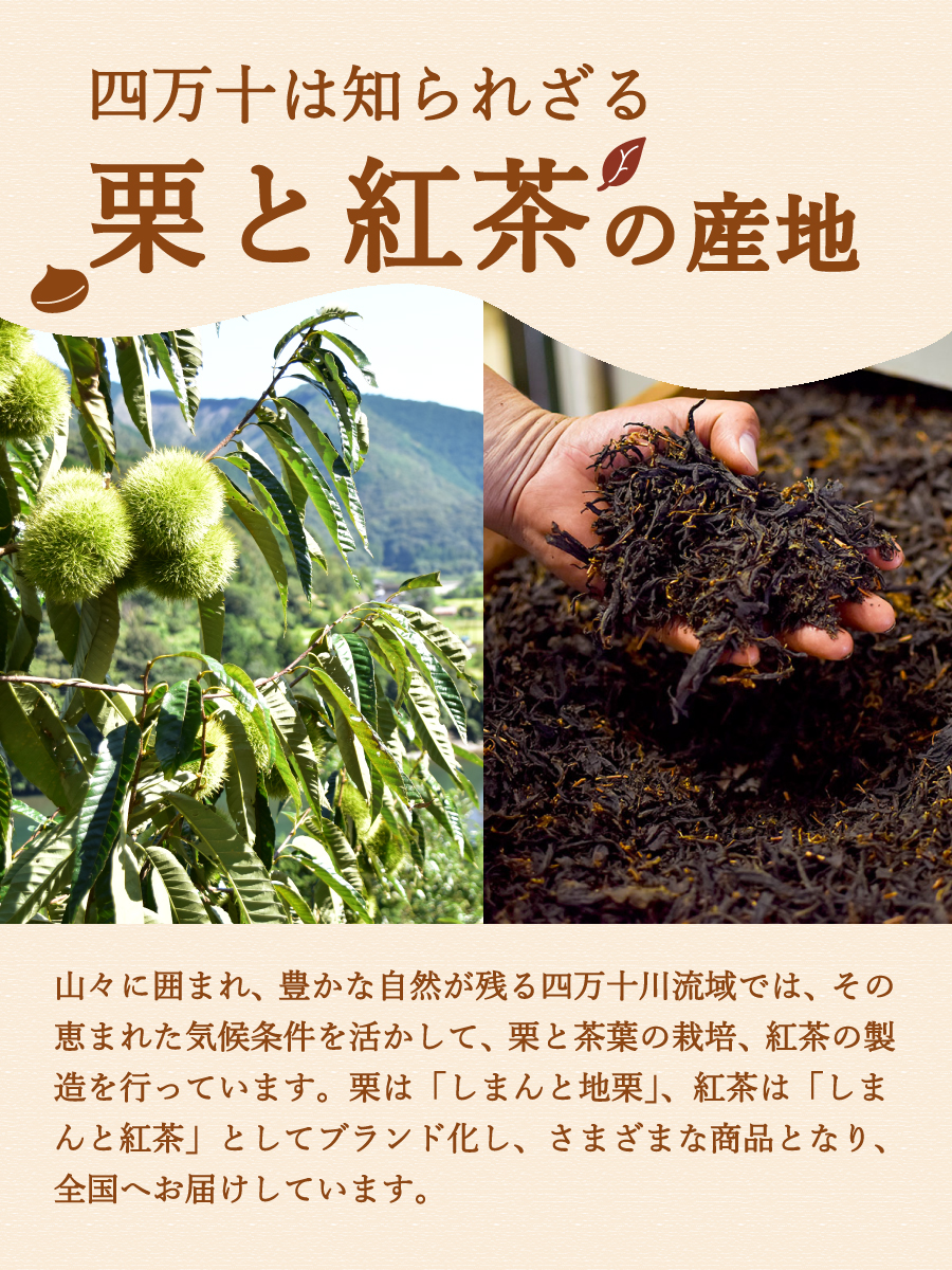 ziguri　しまんと地栗　新栗　秋　旬　ギフト　贈りもの　和栗　焼き菓子　モンブラン　栗スイーツ　ケーキ　クッキー　詰め合わせ　ギフト券　白砂糖不使用　添加物不使用　四万十川　高知　四万十　ラッピング　包装　のし　熨斗　予約 