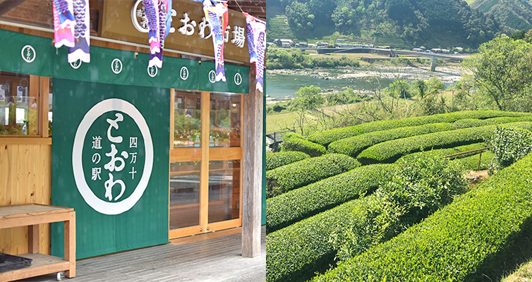 道の駅四万十とおわ 道の駅 オリジナル お菓子 サブレ sable しまんと地栗工場 
