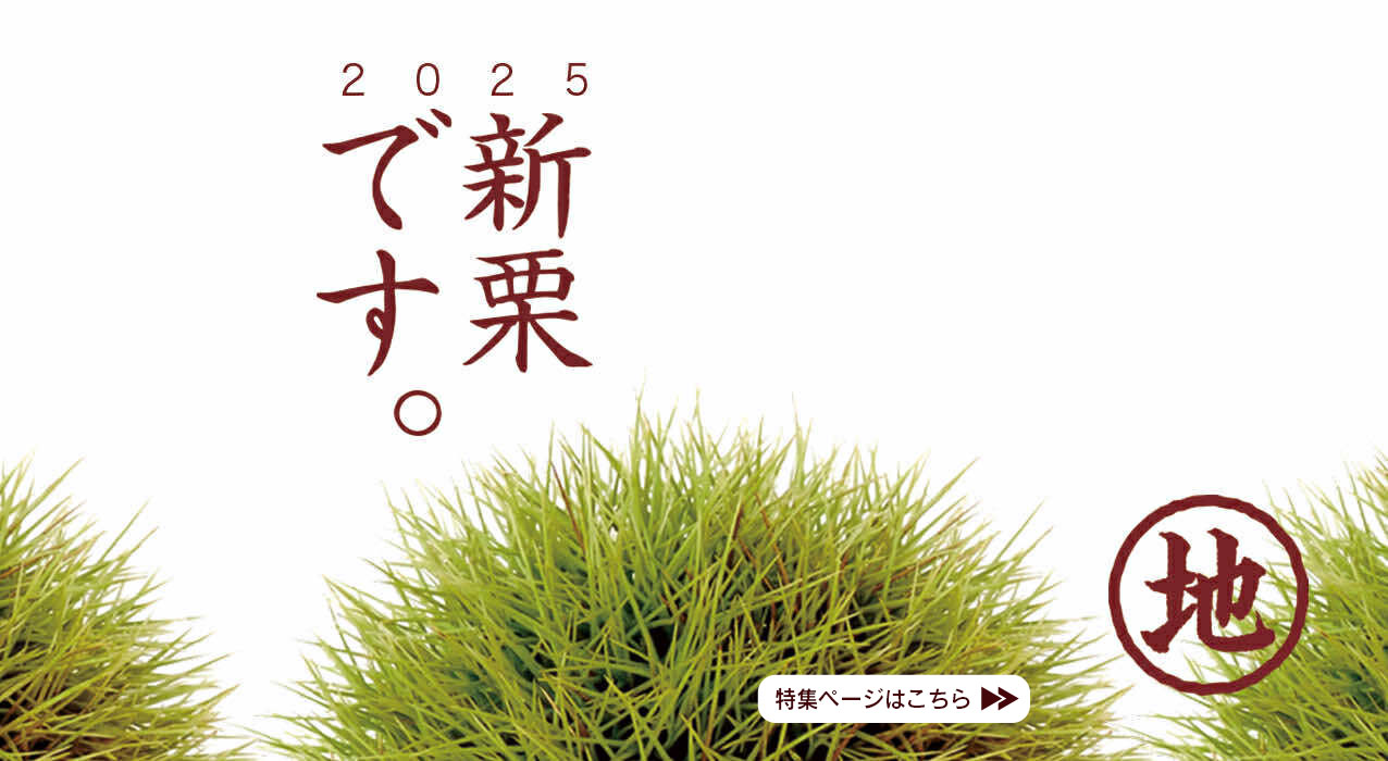新栗 地栗 ジグリ shimanto kuri  ギフト gift 季節のご挨拶 贈りもの 包装 ラッピング のし メッセージカード しまんと地栗 和栗 国産栗 栗スイーツ 添加物不使用 四万十川 高知県 四万十 