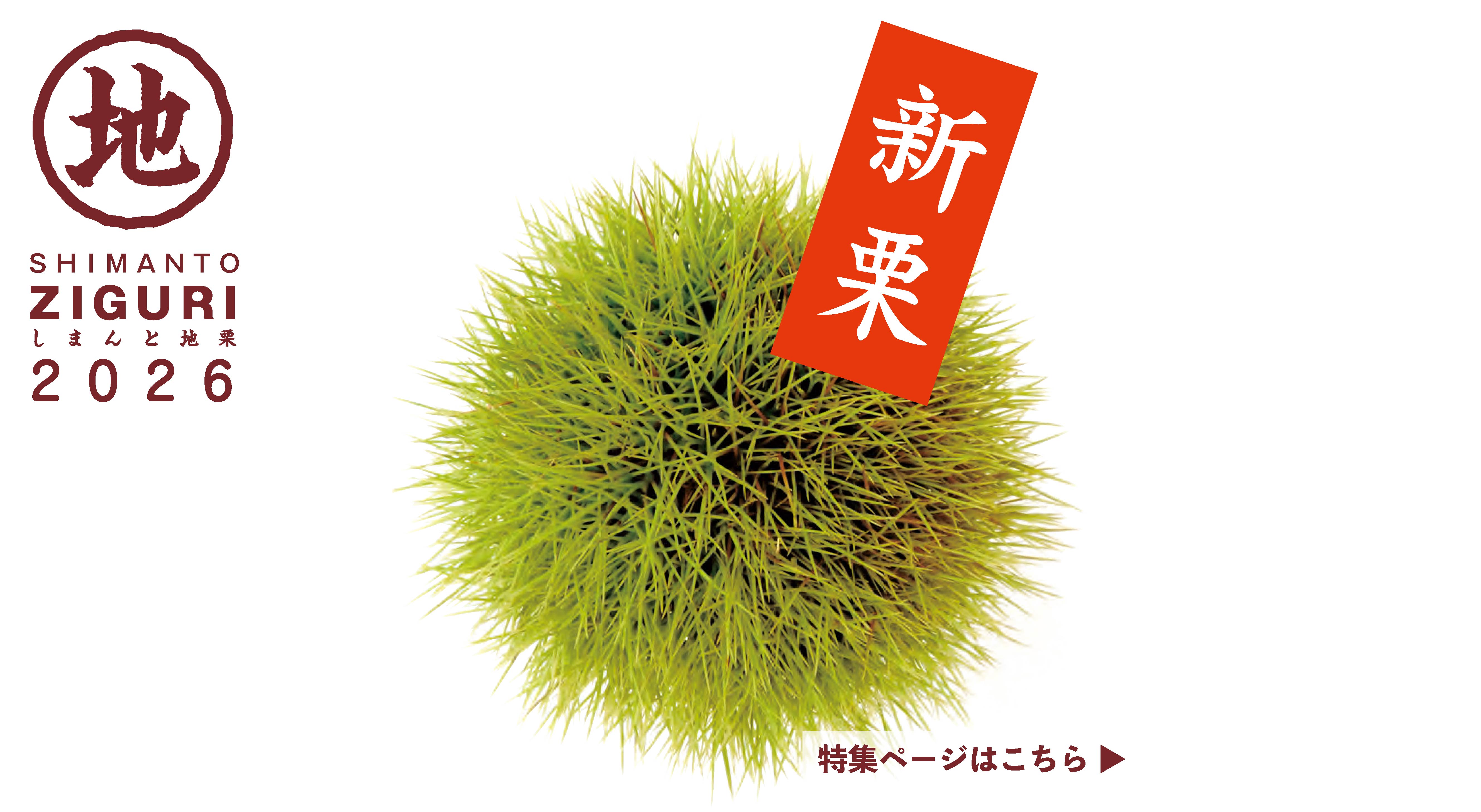 新栗 予約 秋 期間限定 お取り寄せ ひがしやま。 高知県産 shimanto ギフト gift お土産 御歳暮 季節のご挨拶 贈りもの しまんと地栗 国産 栗スイーツ 四万十川 高知県 四万十 栗きんとん モンブラン ケーキ 焼き菓子 詰め合わせ