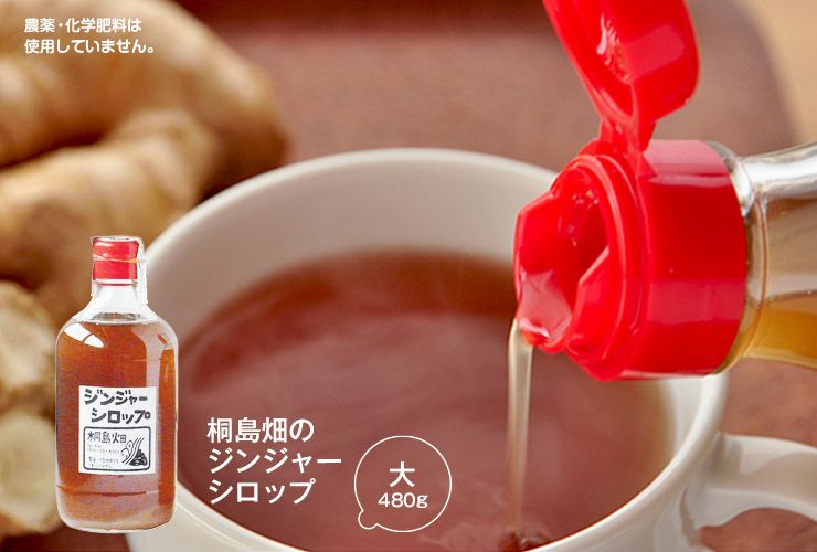 ガツンとやみつき！「桐島畑のジンジャーシロップ 480g」