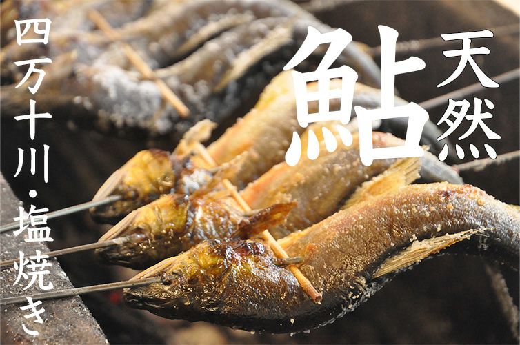 000000001430-01.jpg?size=l&w=