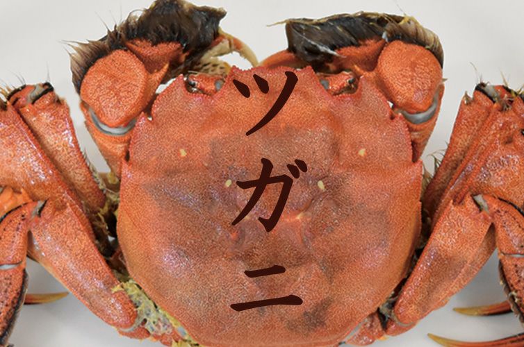 000000001701-01.jpg?size=l&w=