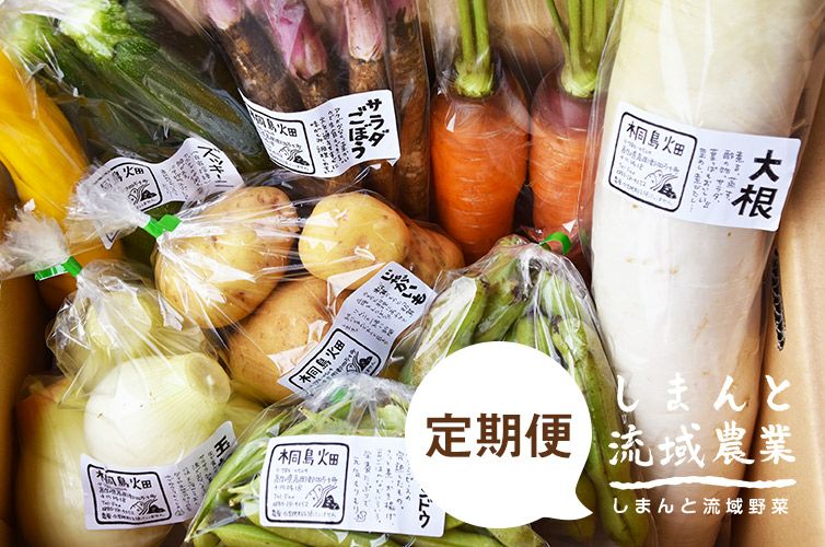定期便】しまんとの季節野菜【冷蔵】 | 四万十ドラマ通販サイト