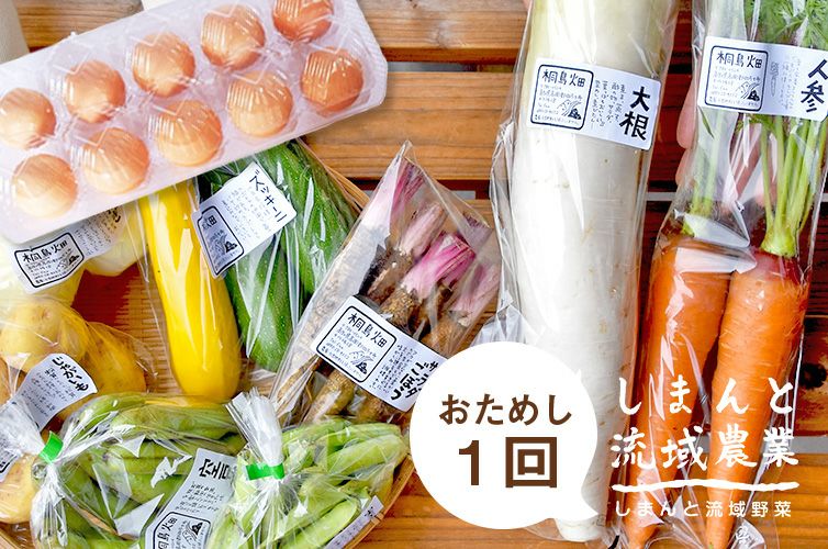 しまんとの季節野菜と土佐ジローの卵セット【冷蔵】 | 四万十ドラマ