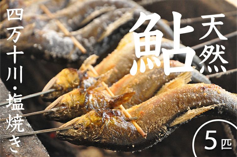 鮎の塩焼きさん専用ページ 清流四万十川育ち「天然鮎の塩焼き 5匹」おいしさの秘密は苔の味